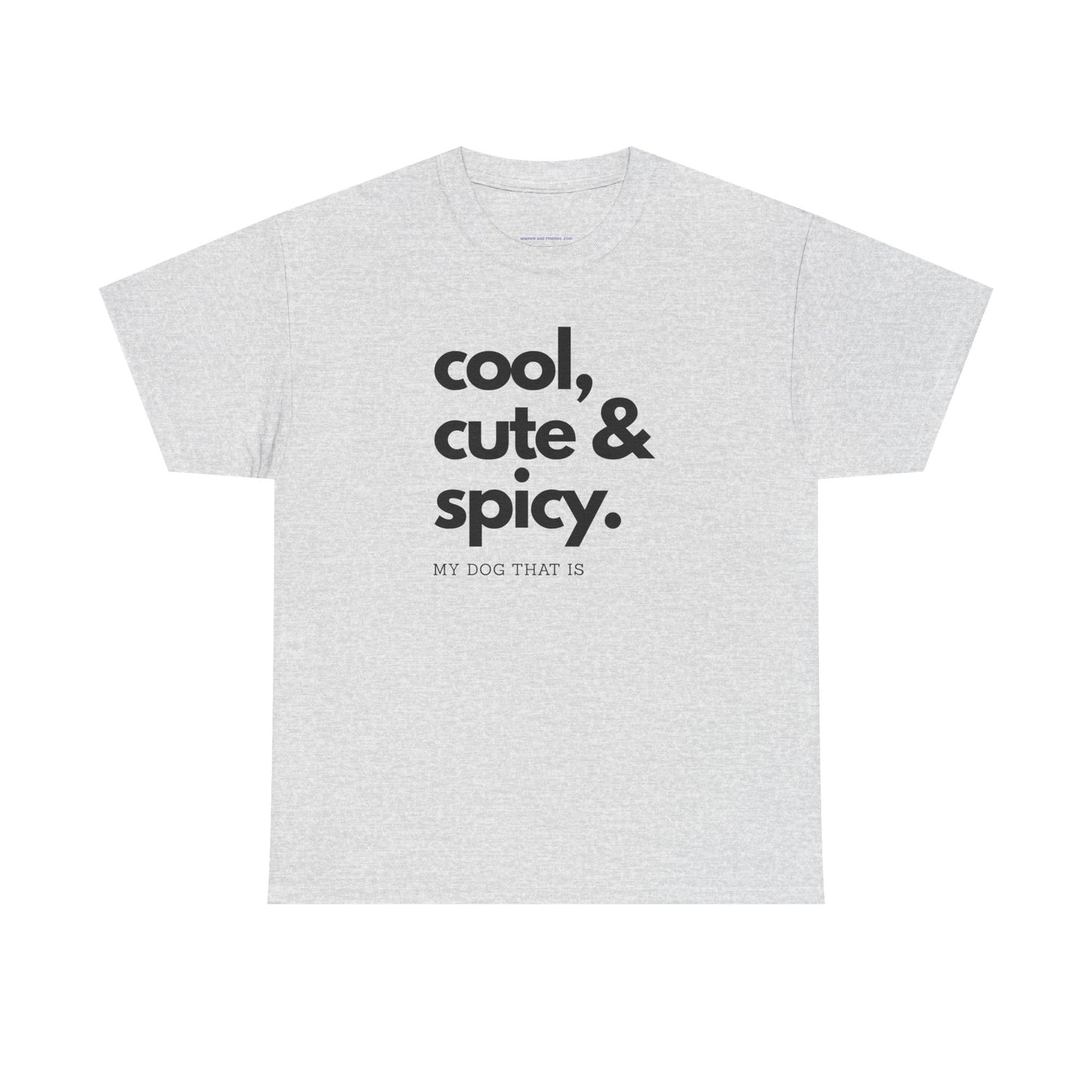 T-shirt: cool, cute and spicy