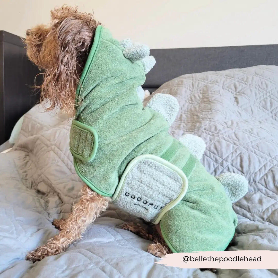 Badrock: Dinopup Cocopup London