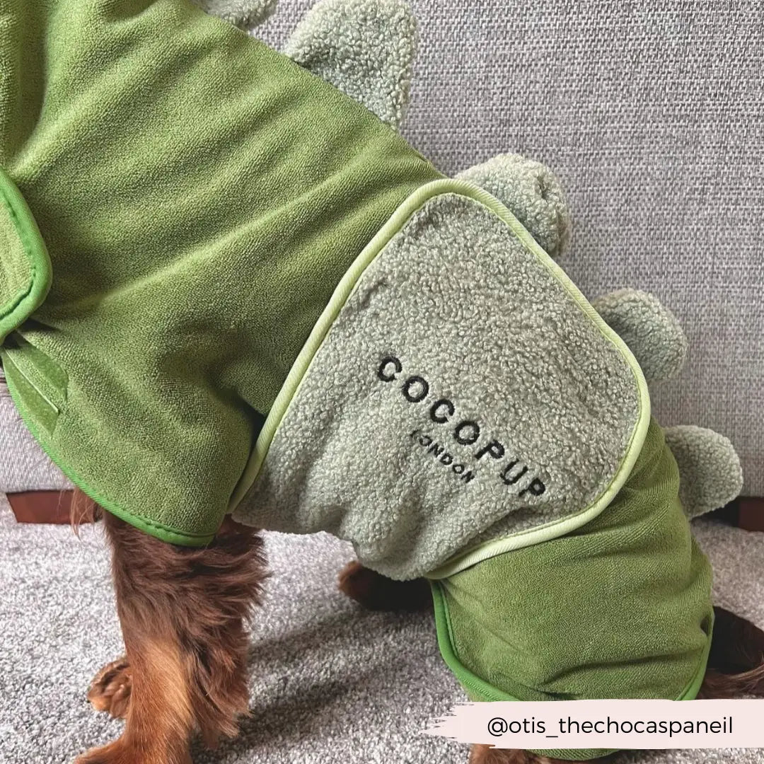 Badrock: Dinopup Cocopup London