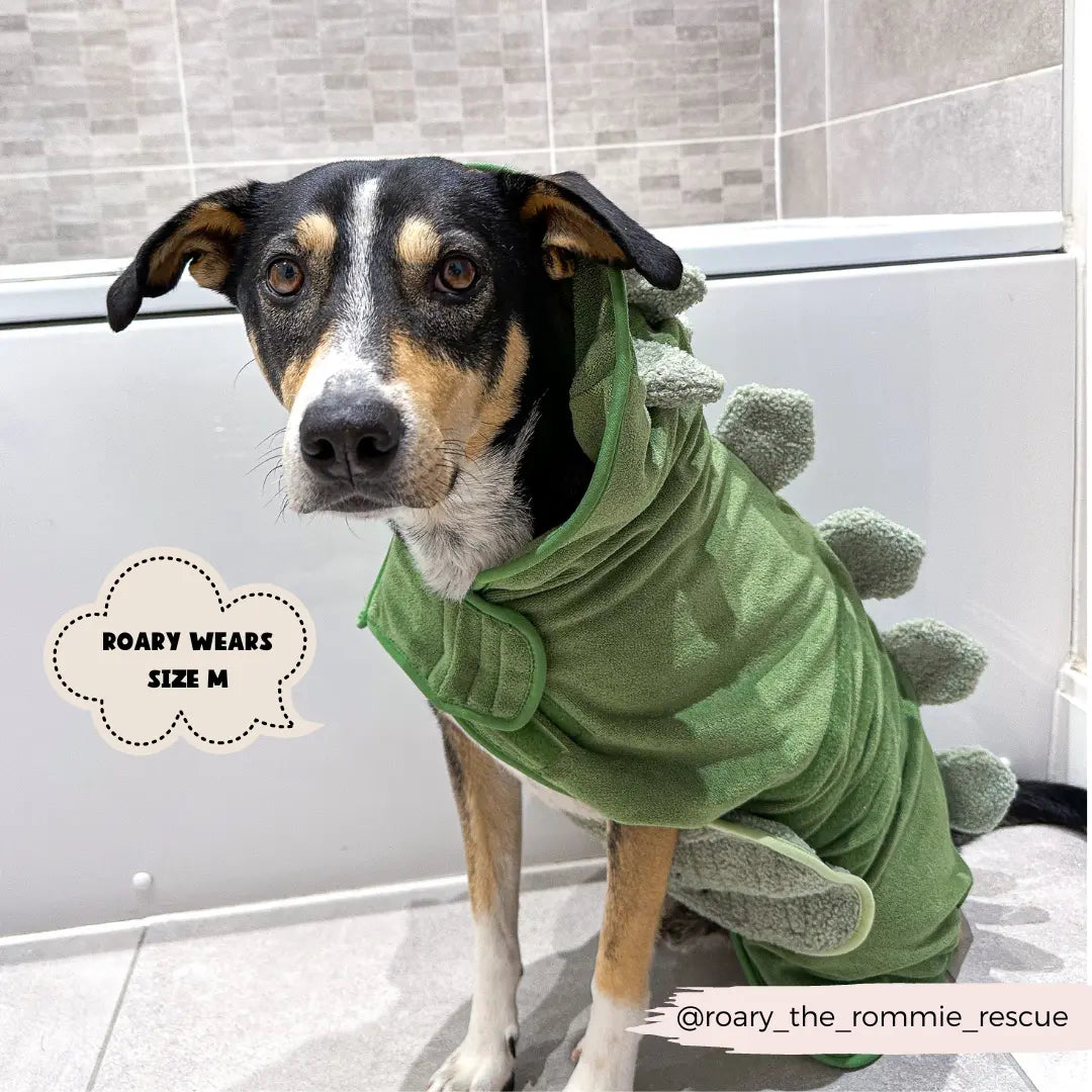 Badrock: Dinopup Cocopup London