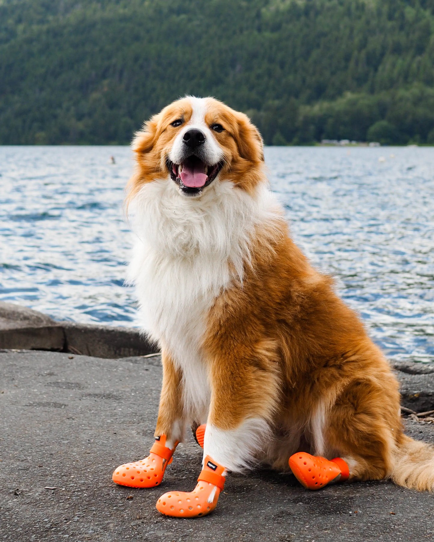 WagWellies® Mojave Neon Orange