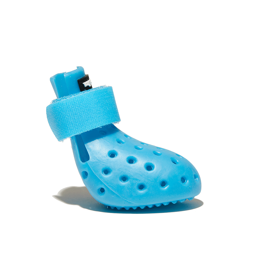 WagWellies® Mojave Neon blå