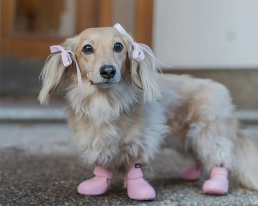 WagWellies® Ljusrosa