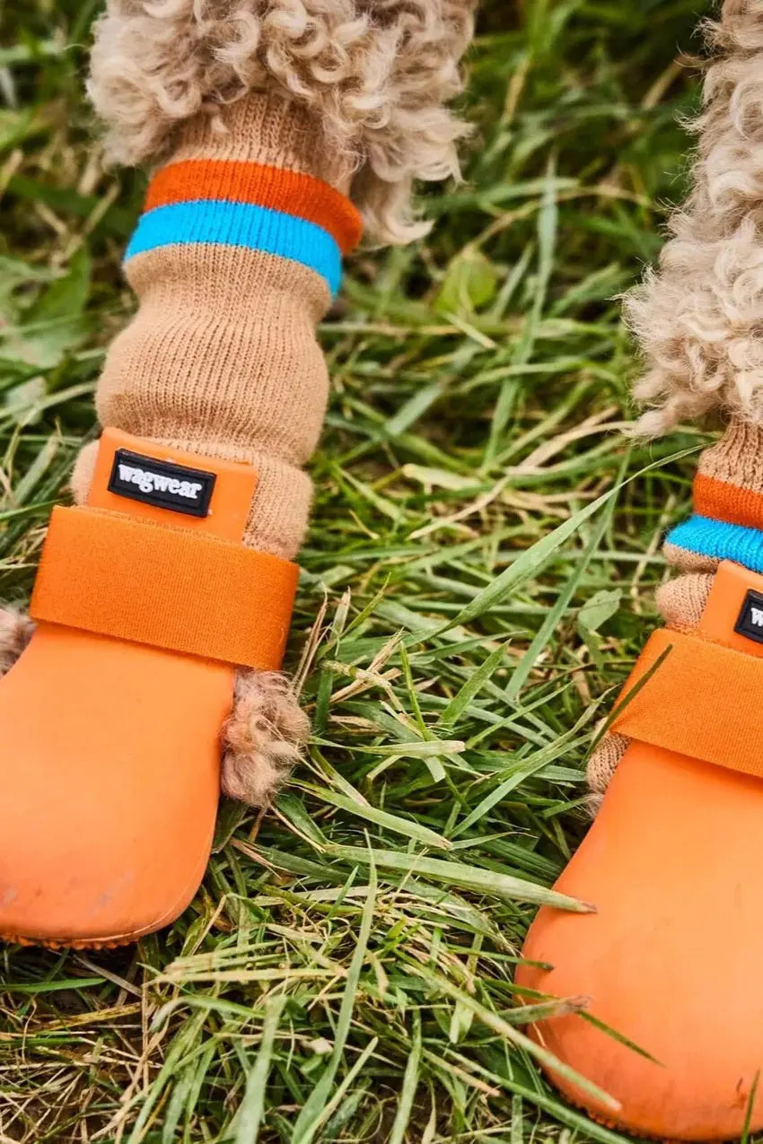 WagWellies® Orange - Wiener and Friends