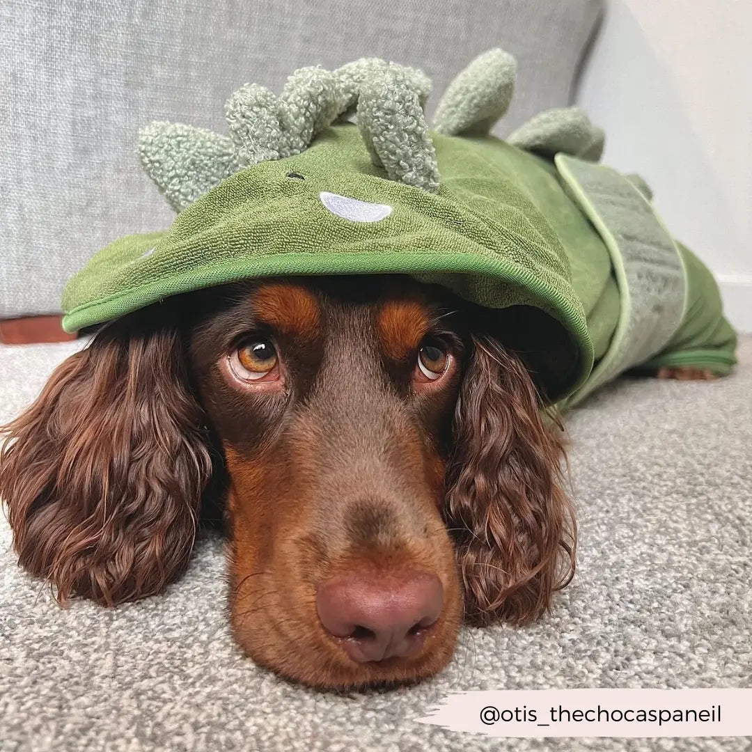 Badrock: Dinopup Cocopup London
