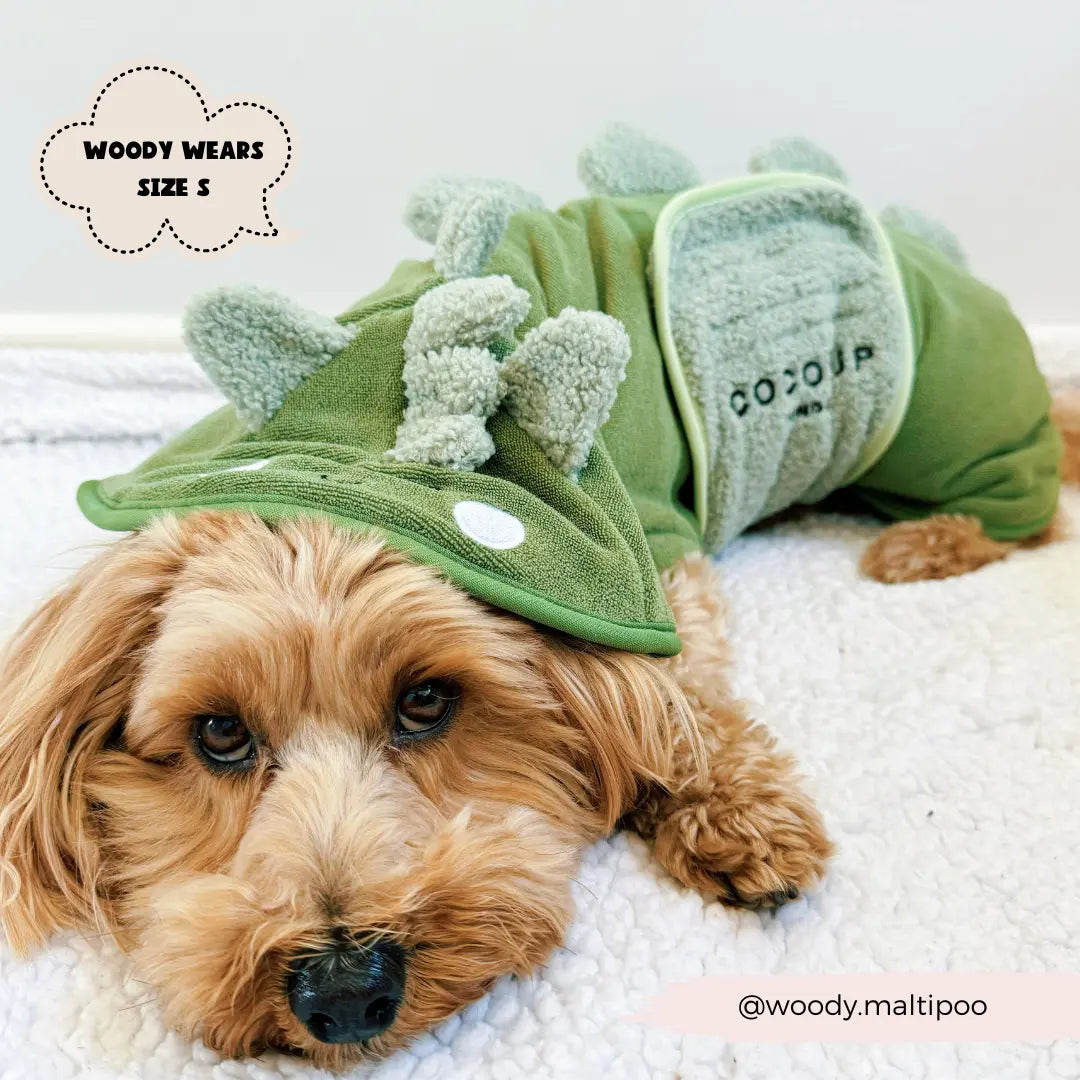 Badrock: Dinopup Cocopup London
