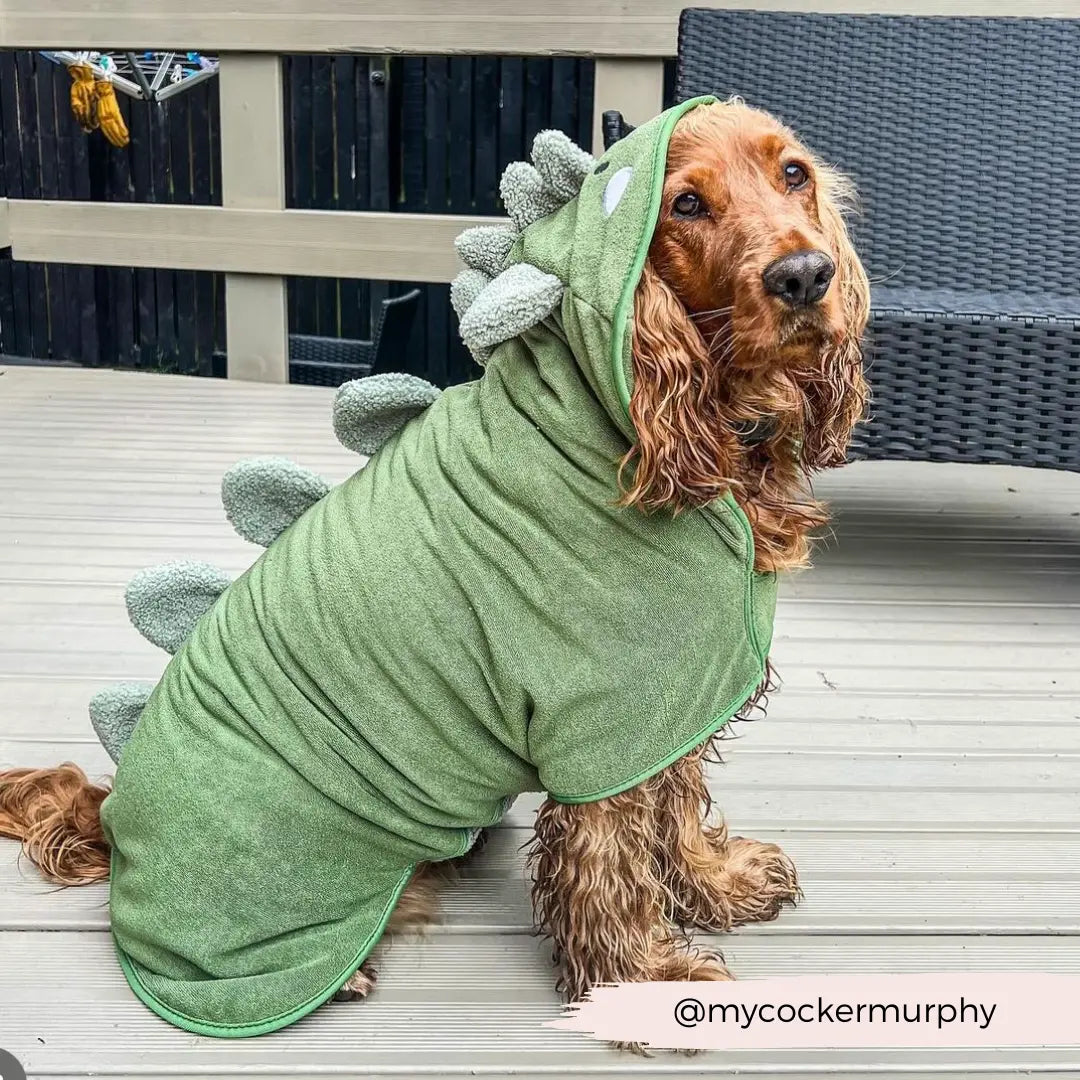 Badrock: Dinopup Cocopup London