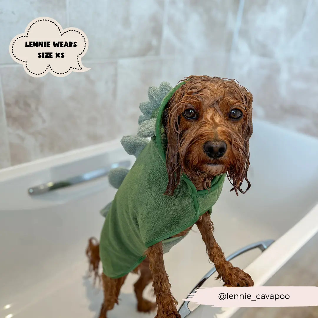 Badrock: Dinopup Cocopup London