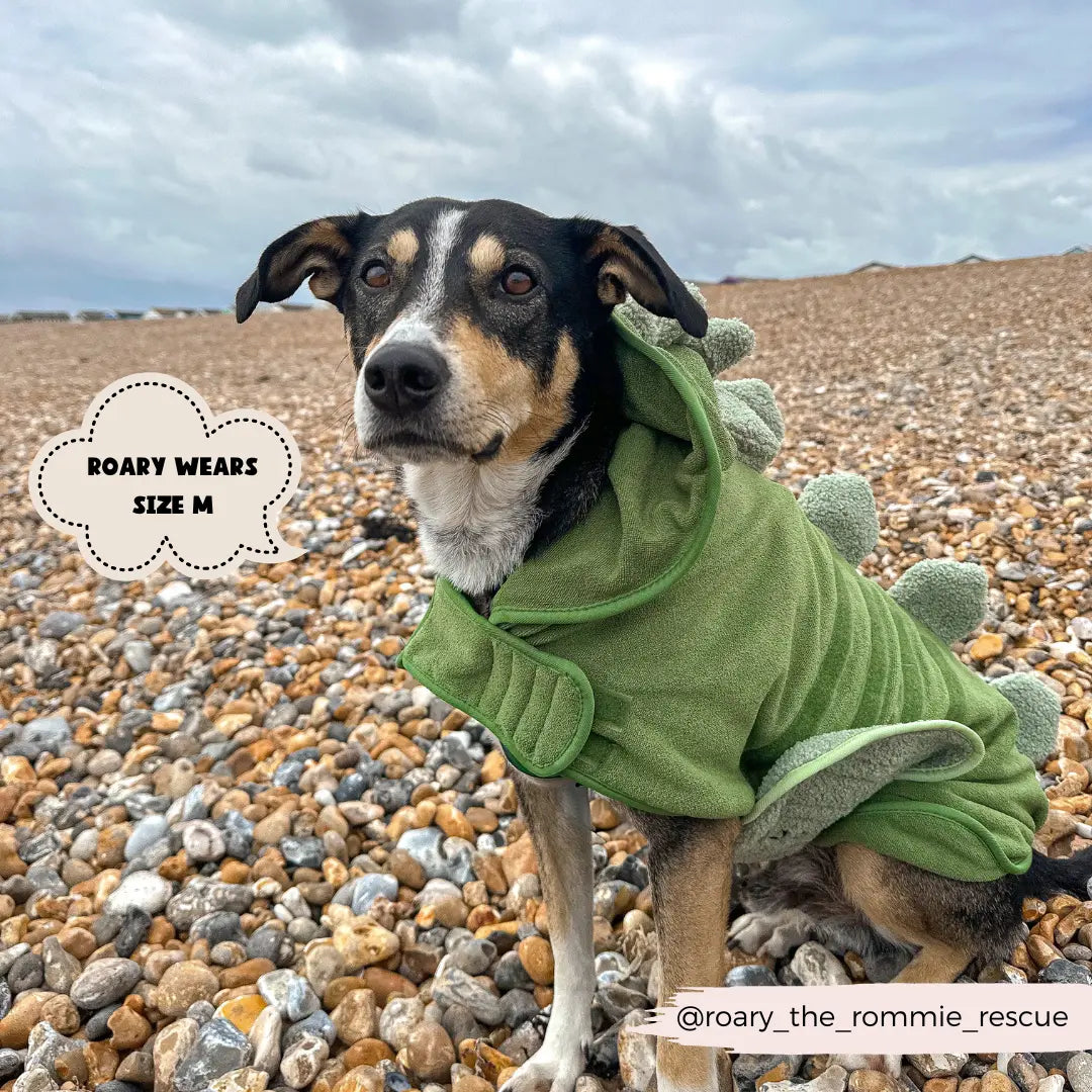 Badrock: Dinopup Cocopup London