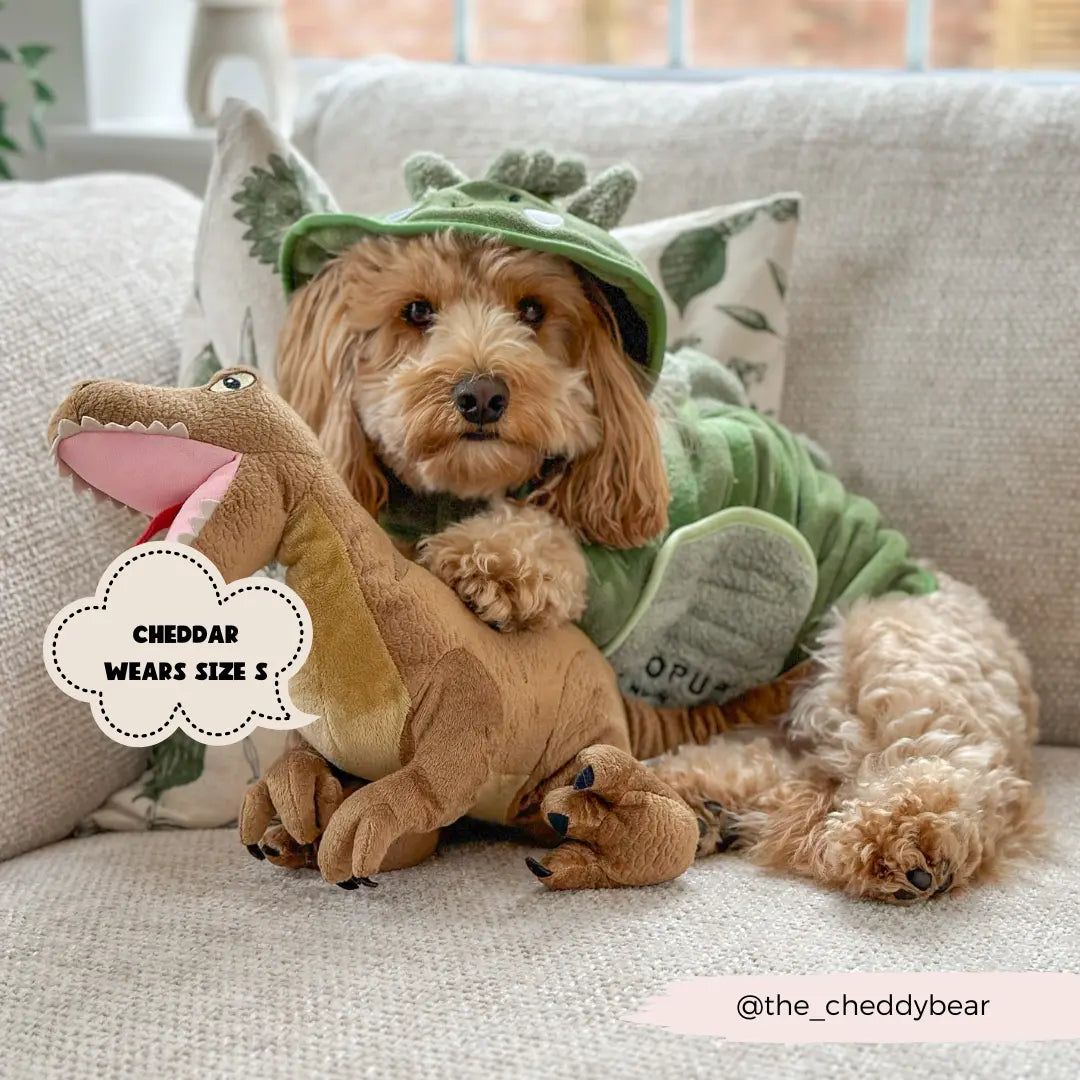 Badrock: Dinopup Cocopup London