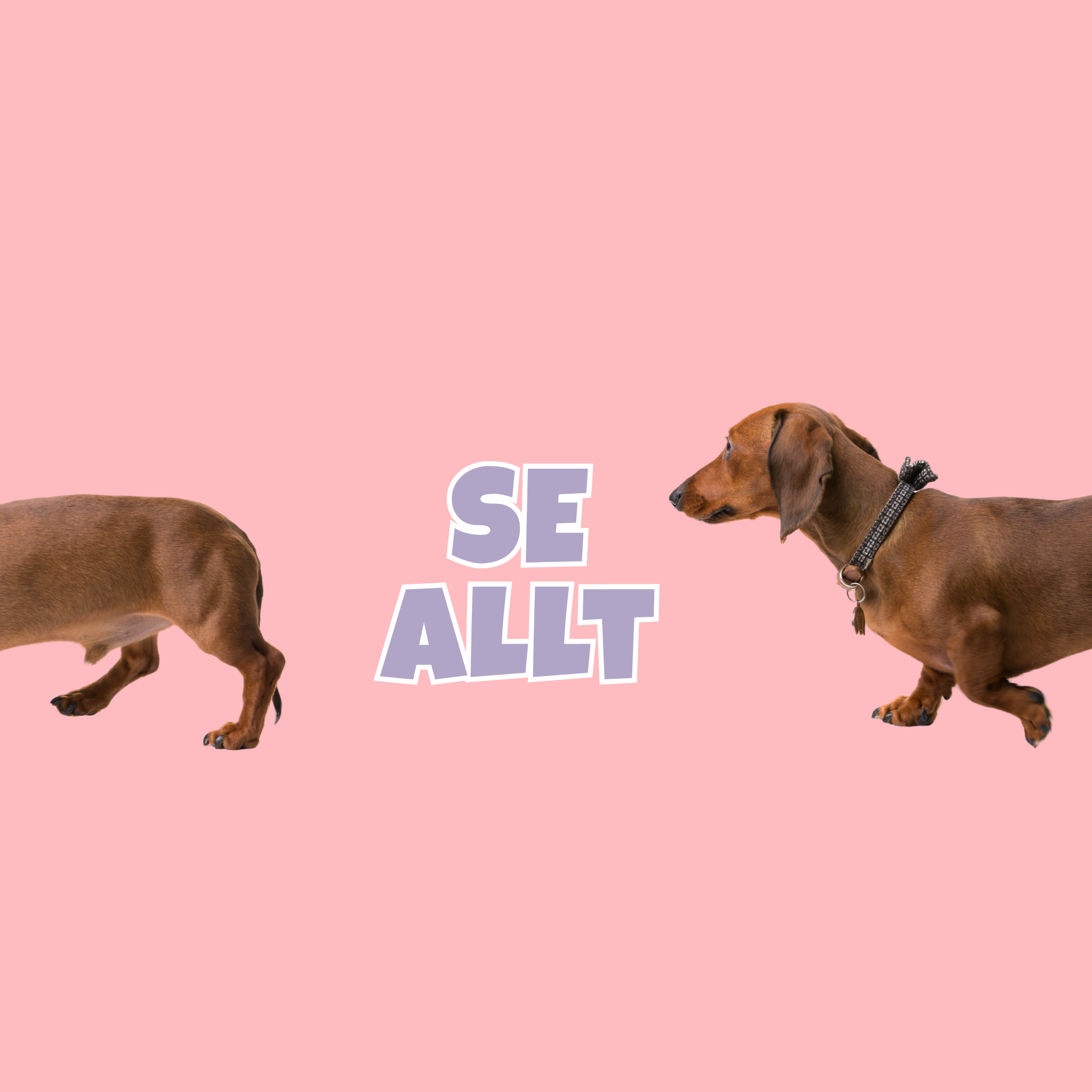 Se alla