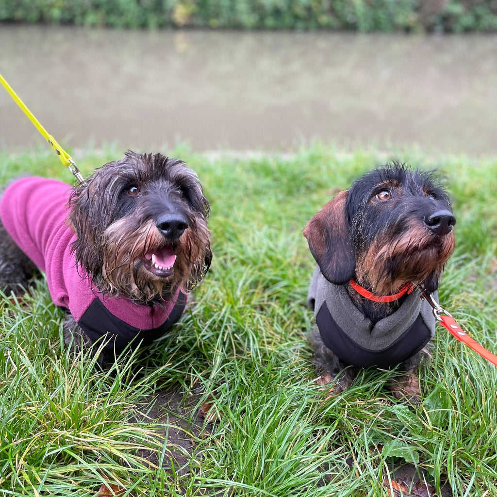 Fleecetröja för low riders! vattentät magpanel Hundtröja