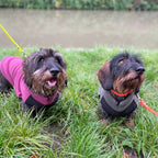 Fleecetröja för low riders! vattentät magpanel Hundtröja