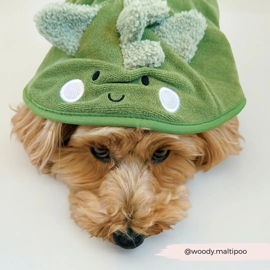 Badrock: Dinopup Badrock