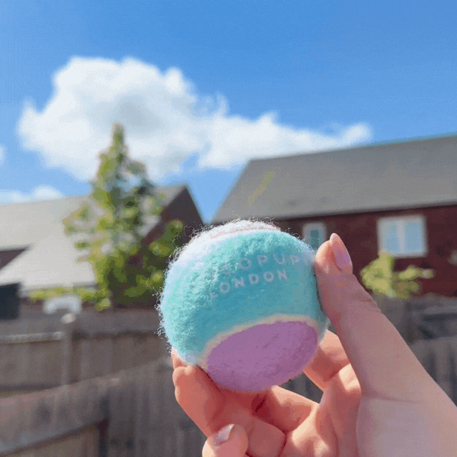 Tennisboll för hund Leksak