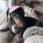 Hundkeps med hjärta Hat