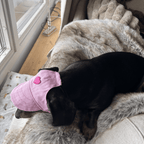 Hundkeps med hjärta Hat