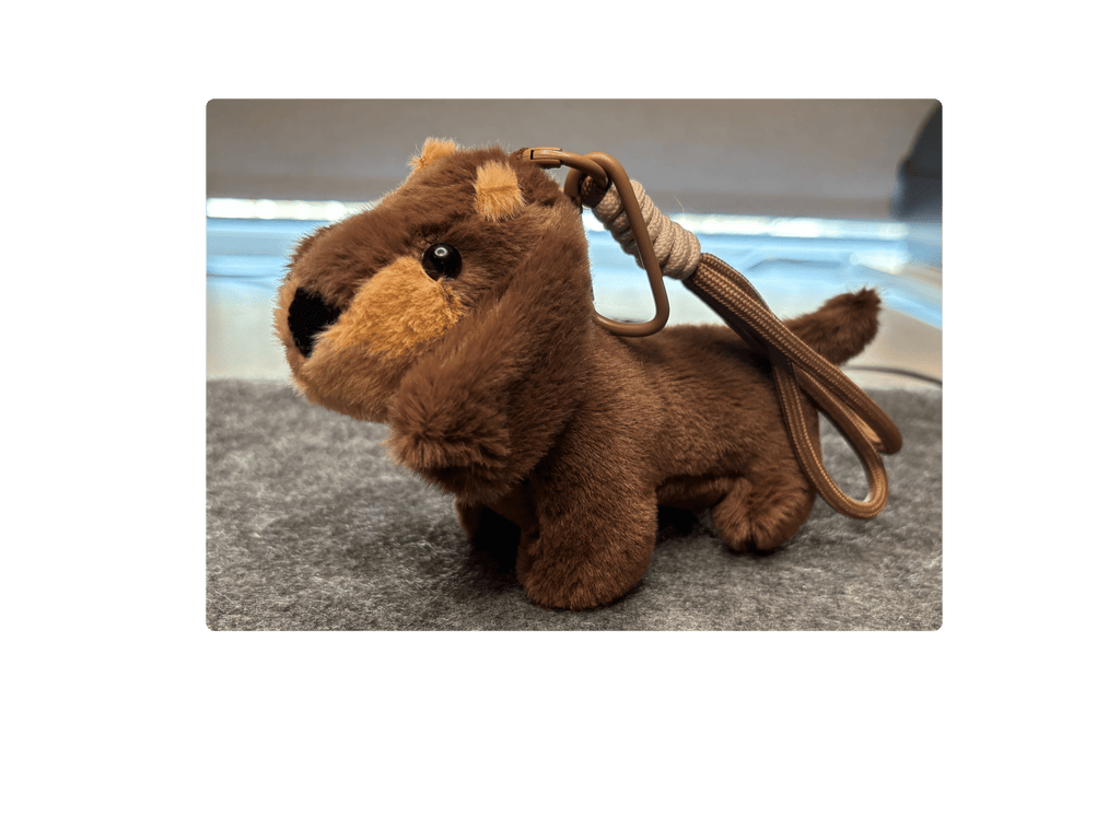 Nyckelrings taxar Nyckelring