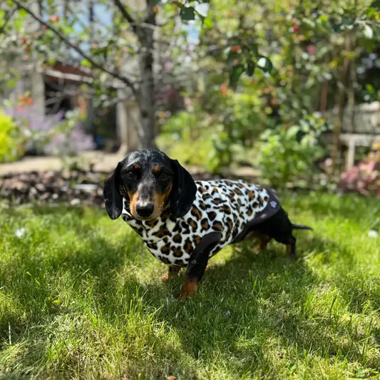 Fleecetröja: Leopard