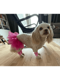 Ballerinaset för hund Hattar & Accessoarer