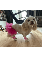 Ballerinaset för hund Hattar & Accessoarer