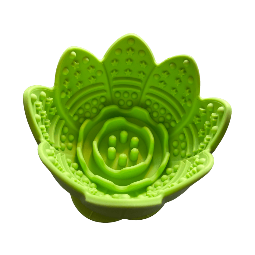 Slowfeed skålar i silikon Matskål