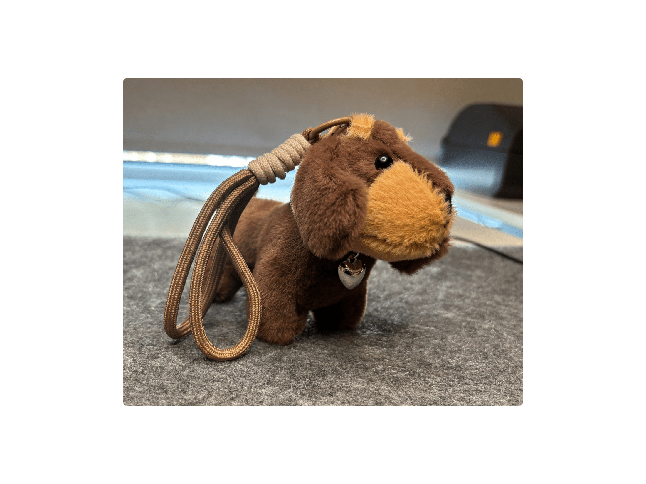 Nyckelrings taxar Nyckelring