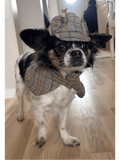 Detektivhatt & Cape för hund Hattar & Accessoarer