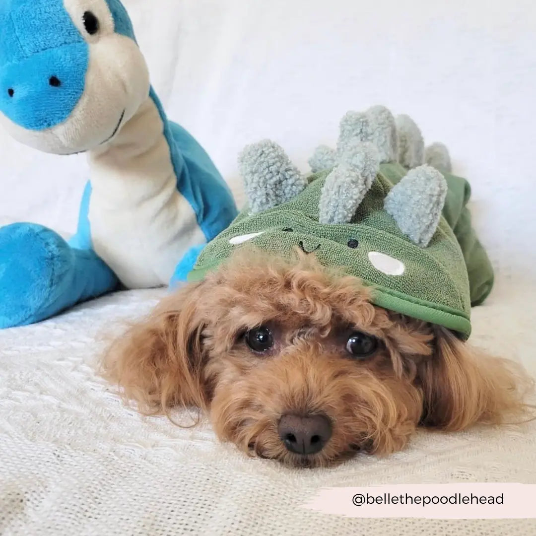 Badrock: Dinopup Cocopup London