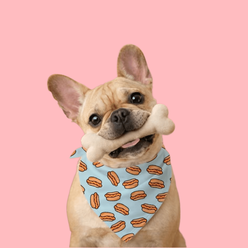 Bandana för hund Hundtillbehör