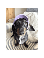 Dog Cap Keps
