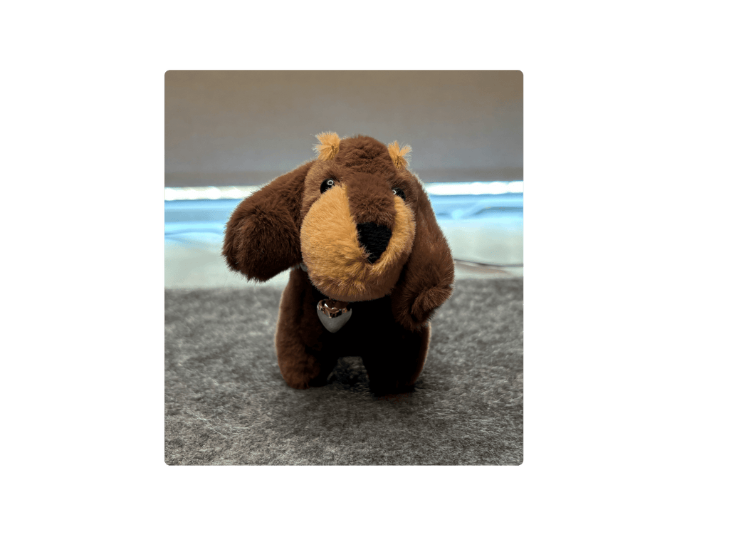 Nyckelrings taxar Nyckelring