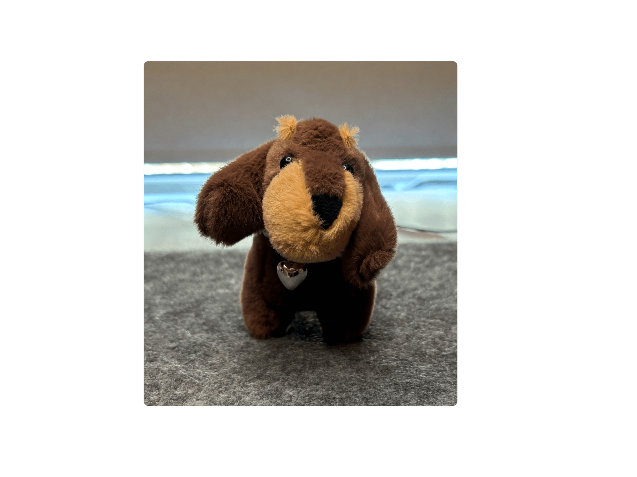 Nyckelrings taxar Nyckelring