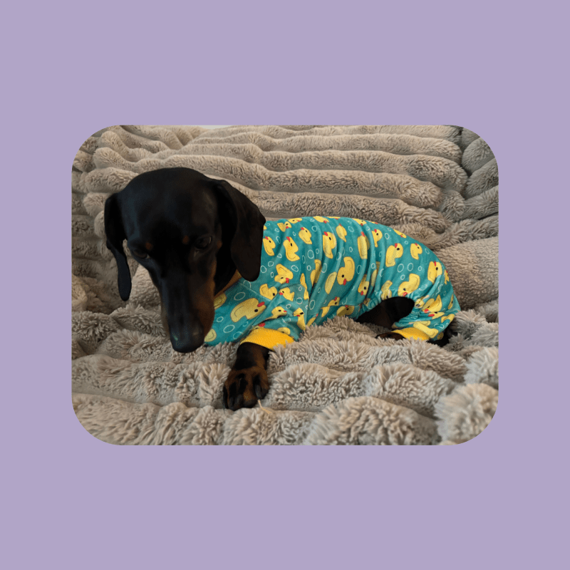 Hundpyjamas Hundpyjamas