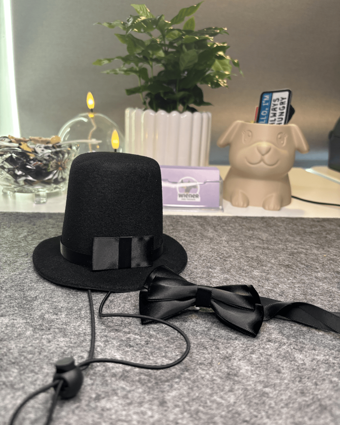 Top hat & fluga för hund Hattar & Accessoarer