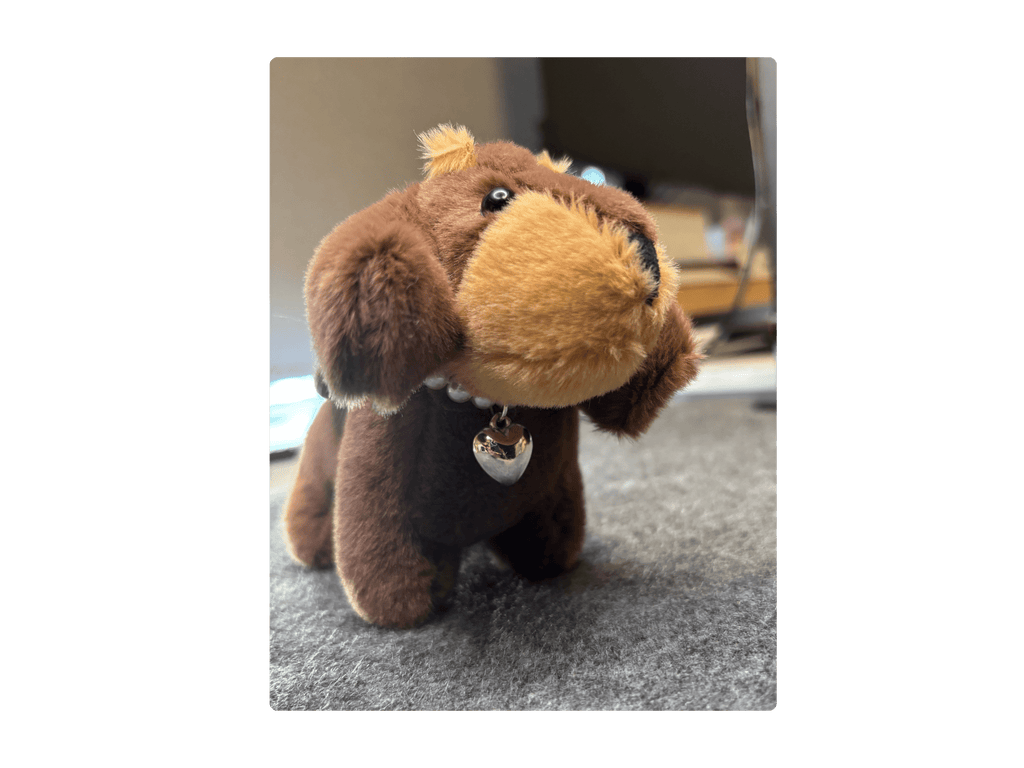 Nyckelrings taxar Nyckelring