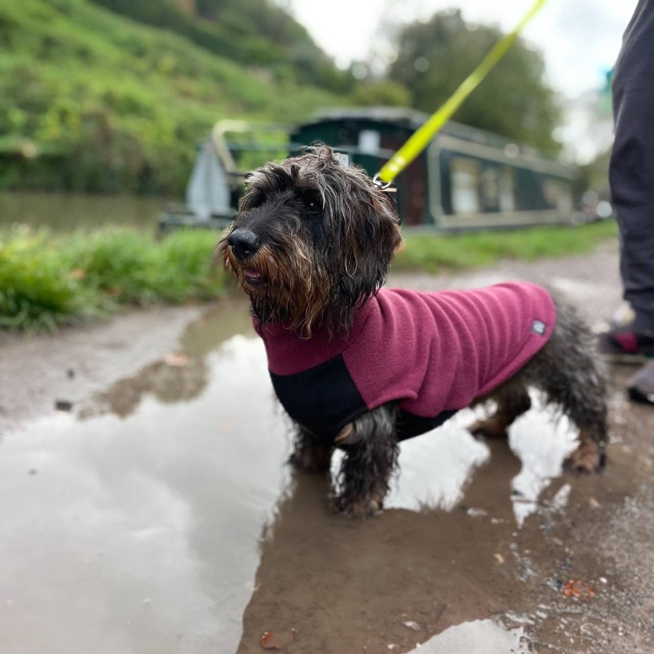 Fleecetröja för low riders! vattentät magpanel Hundtröja