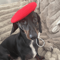 Hundbasker Hat