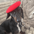 Hundbasker Hat