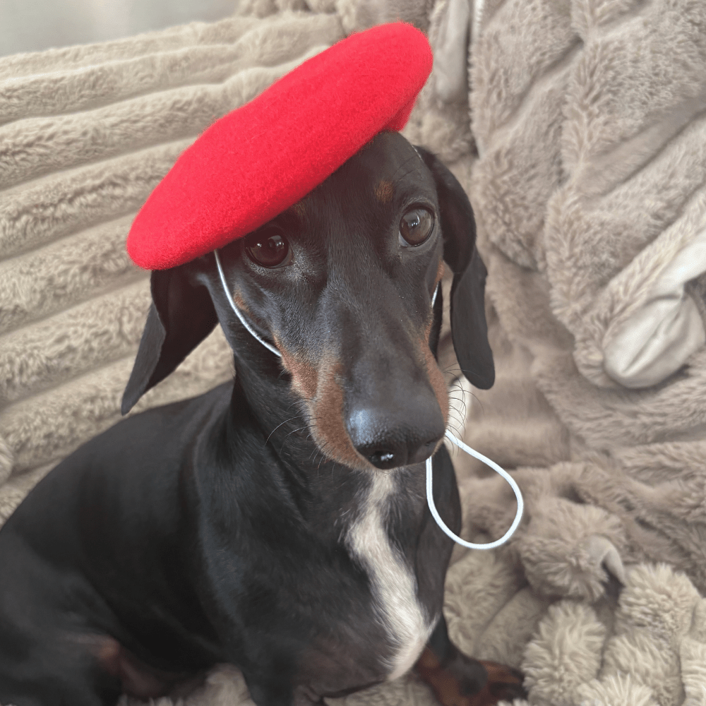 Hundbasker Hat