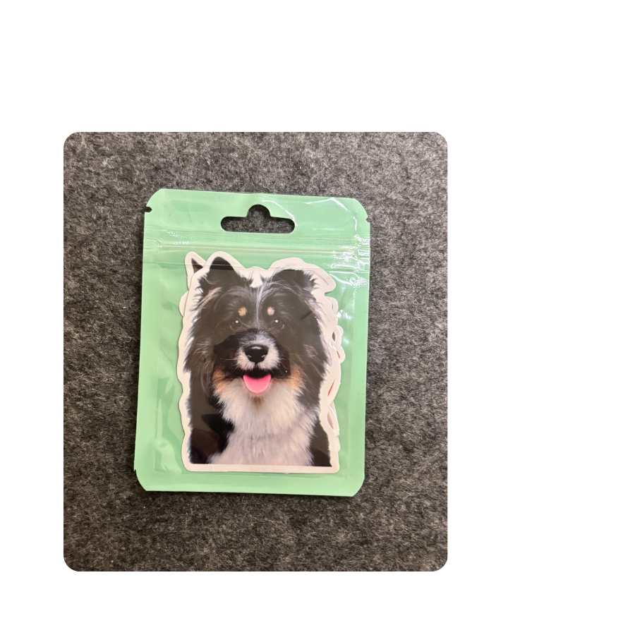 Färdig julklapp med hundtema