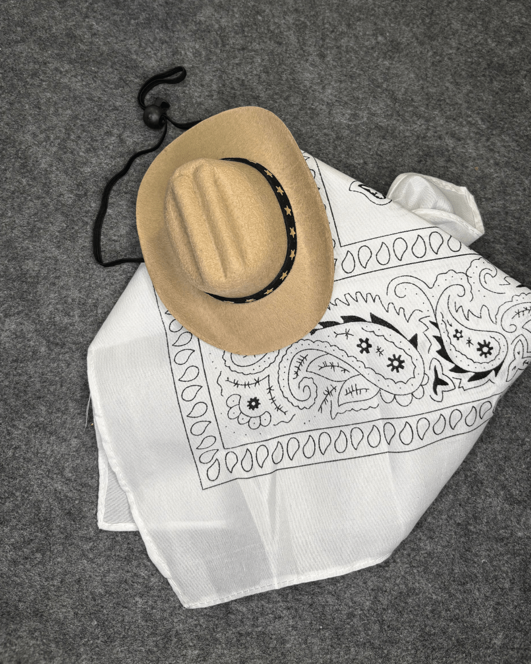 Cowboy Kit Hattar & Accessoarer
