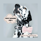 Flugor & Rosetter Flugor & Rosetter