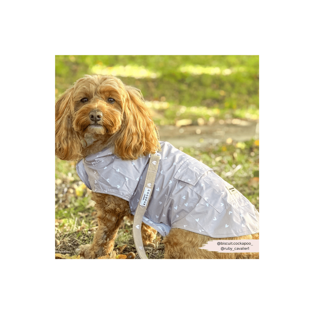 Lätt regnrock i praktisk påse Hundkläder