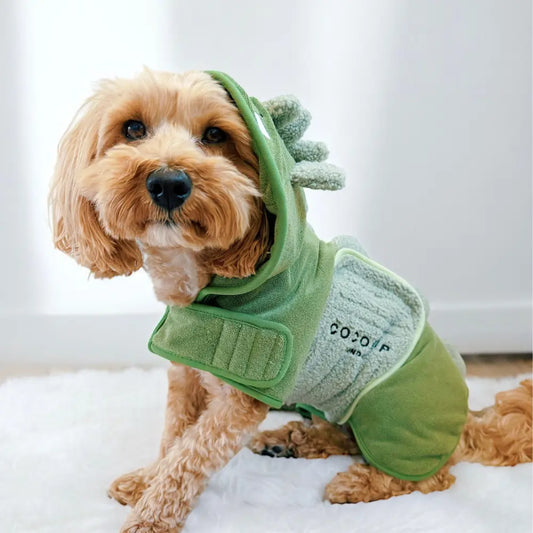 Badrock: Dinopup Cocopup London