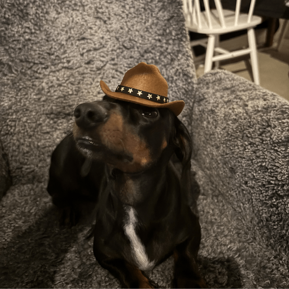 Cowboy Kit Hattar & Accessoarer