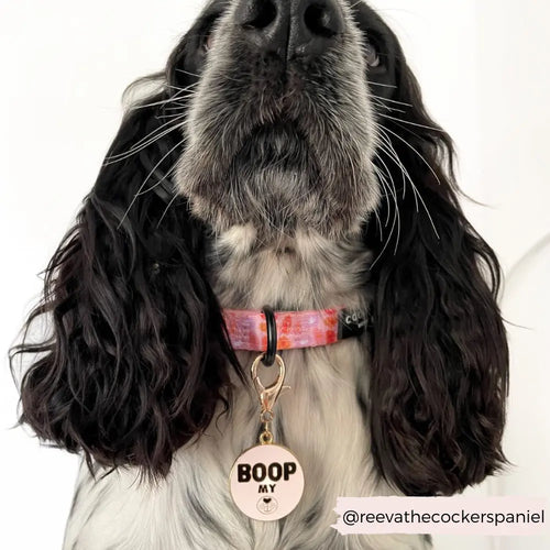 Berlock till hundhalsband eller sele - Boop My Snoot Smycke för halsband eller sele