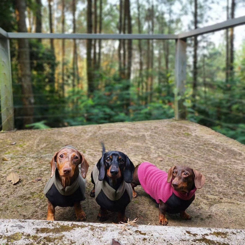 Fleecetröja för low riders! vattentät magpanel Hundtröja