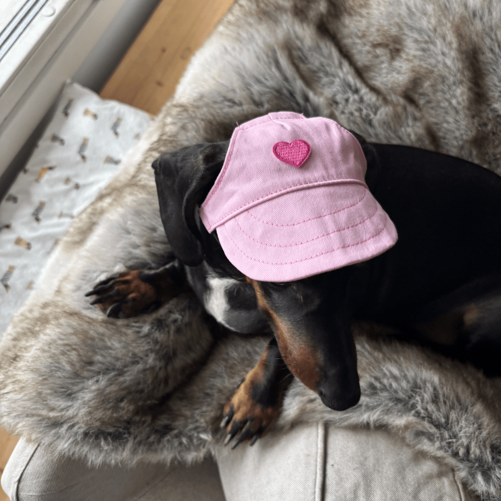 Hundkeps med hjärta Hat