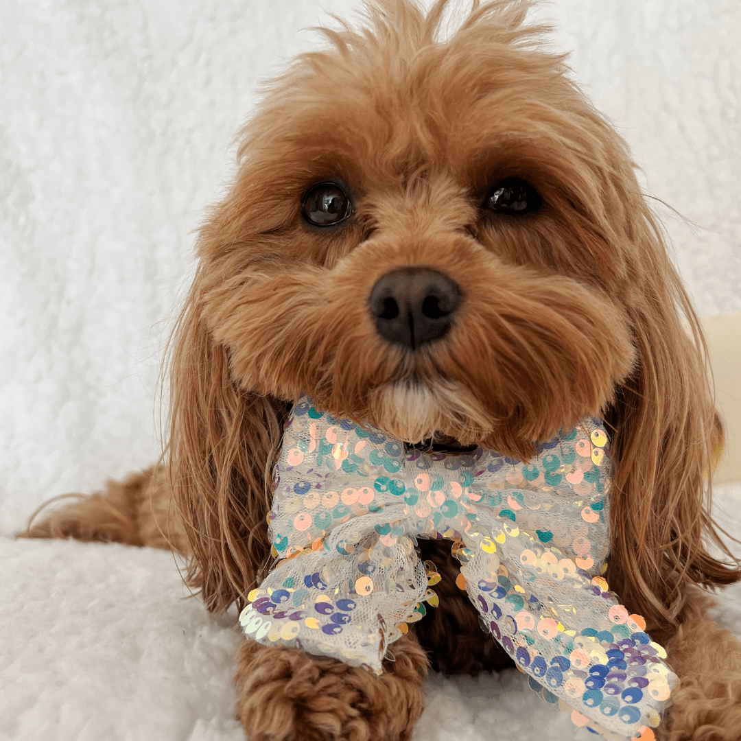 Flugor & Rosetter Flugor & Rosetter